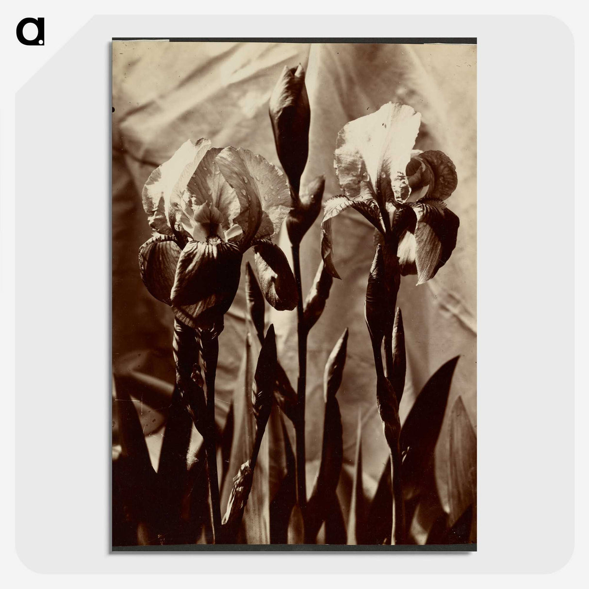 1-18_Eugene-Atget_picture-crop