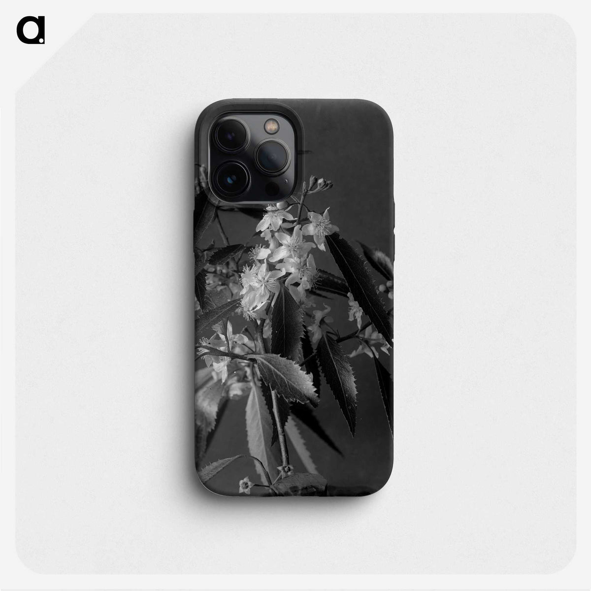 1-18_Frederick-Charles-Brockett_phone