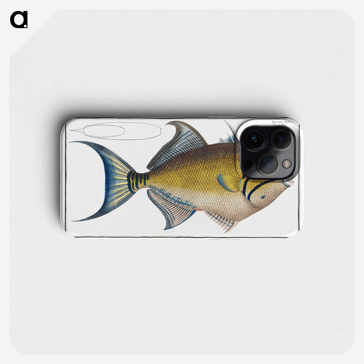 1-18_Ichtyologie-ou-Histoire-naturelle_phone