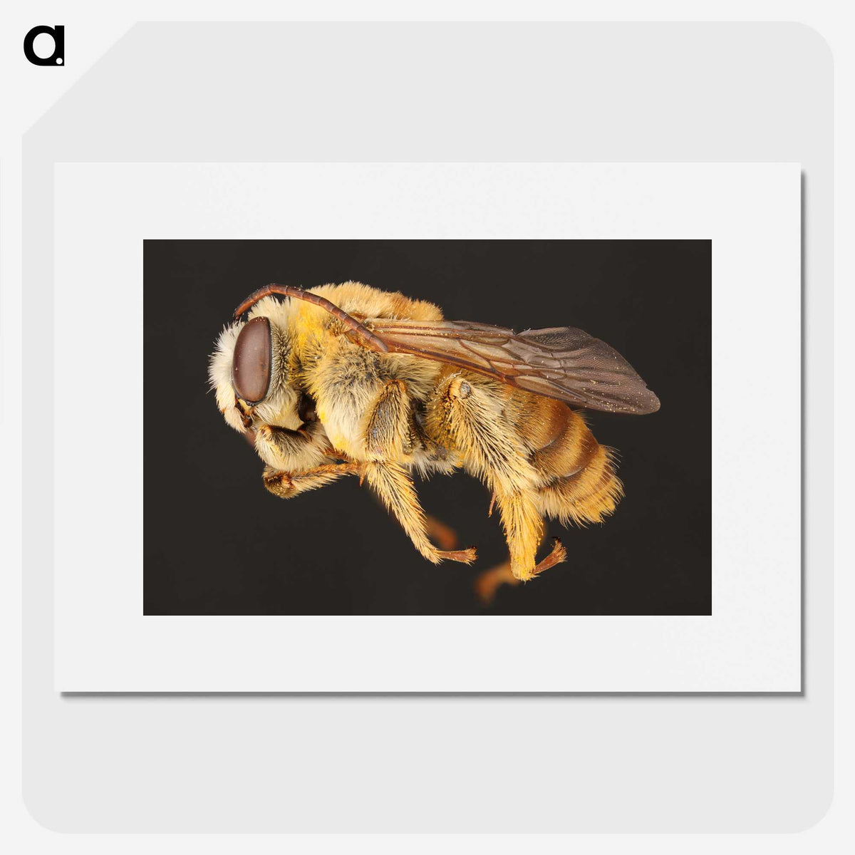 1-18_Insects-Unlocked-Project_picture