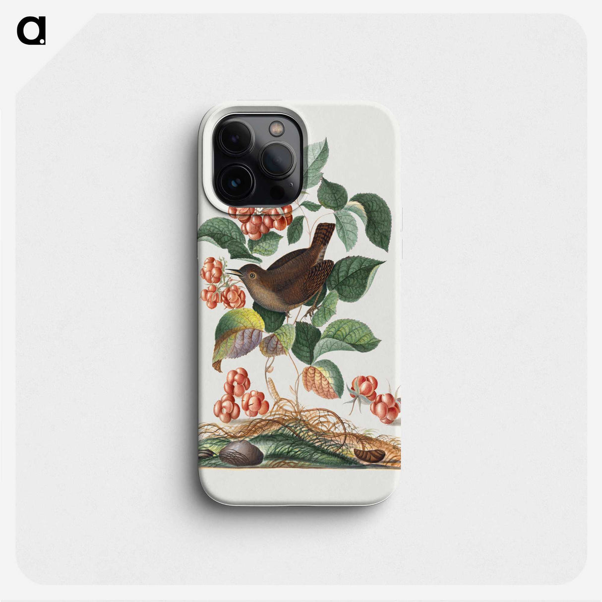 1-18_James-Bolton_phone