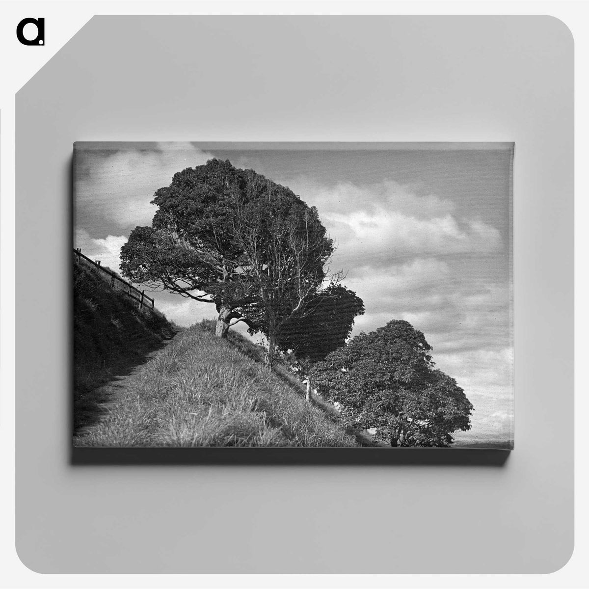 1-18_James-Walter-Chapman-Taylor_canvas