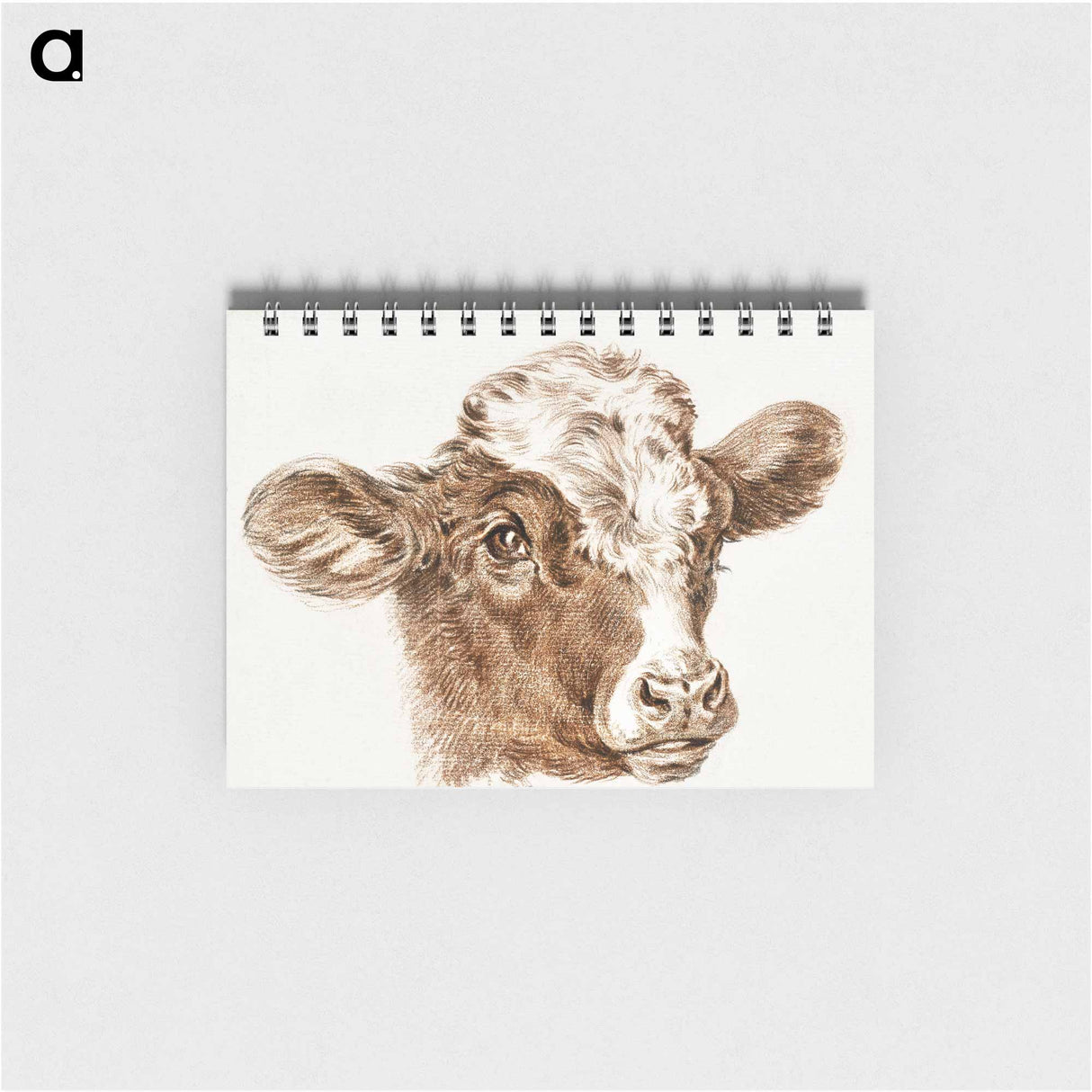 Head of a cow - ジャン ベルナール Memo.