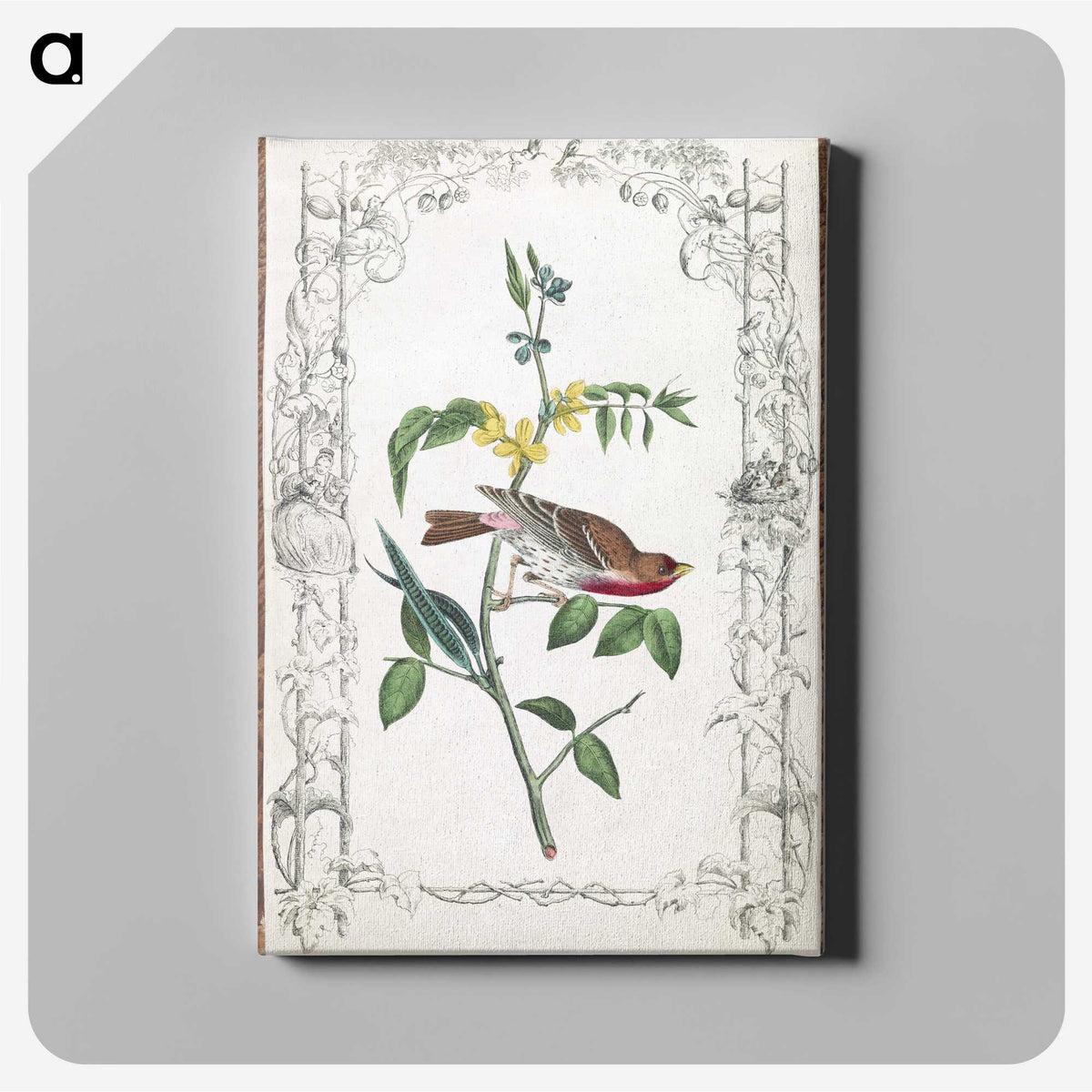 1-18_John-James-Audubon_canvas