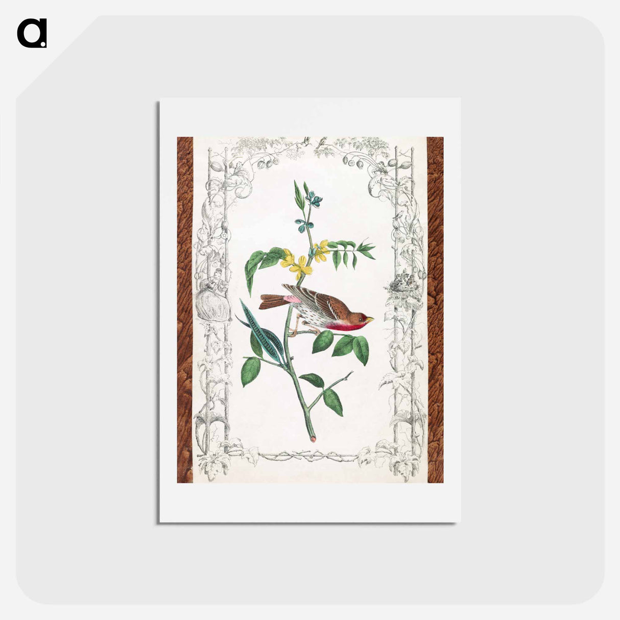 アートポストカード-Crimson Fronted Purple Finch
- ジョン ジェームス オーデュボン Postcard.