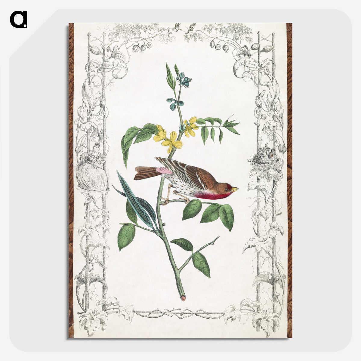 1-18_John-James-Audubon_picture-crop