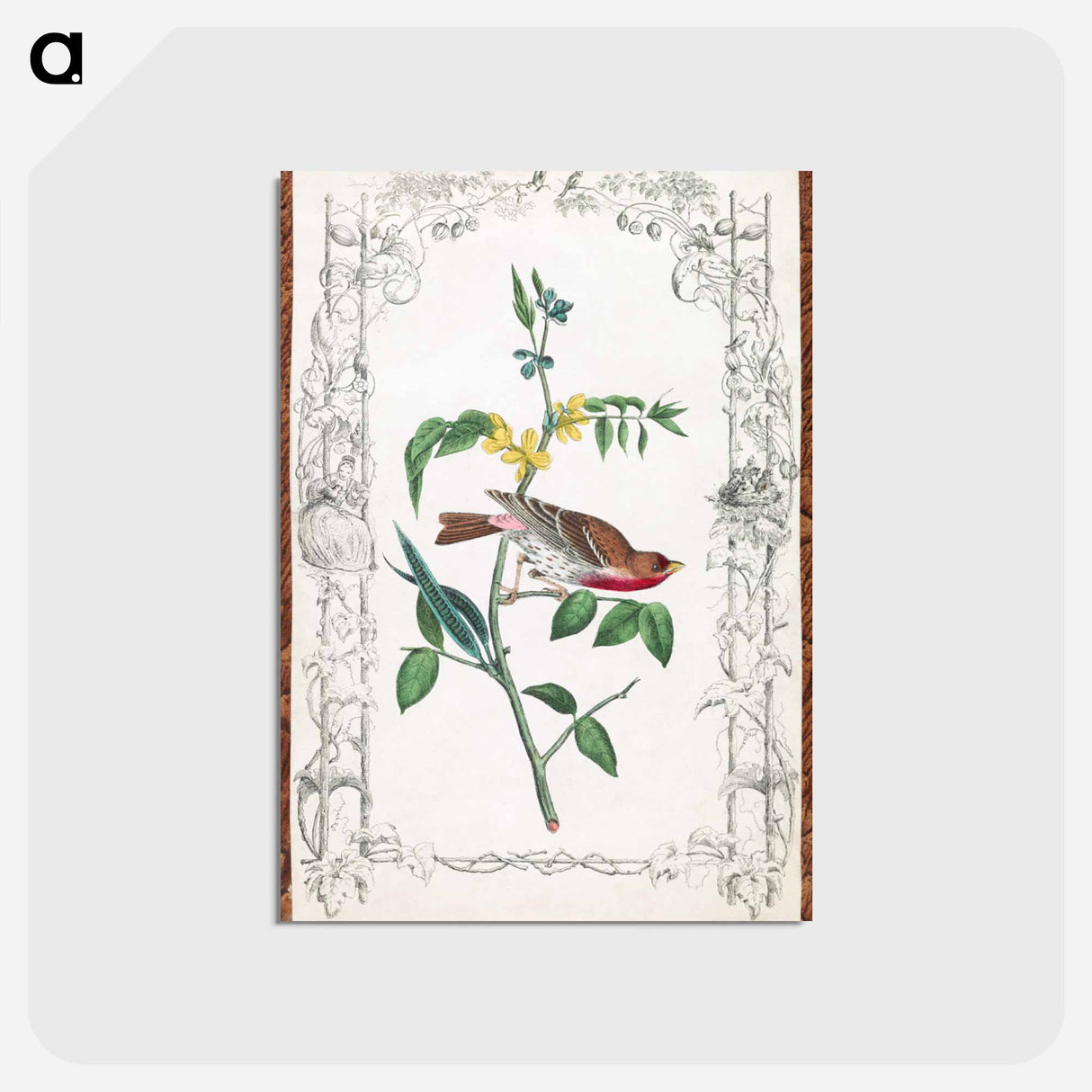 アートポストカード-Crimson Fronted Purple Finch
- ジョン ジェームス オーデュボン Postcard.
