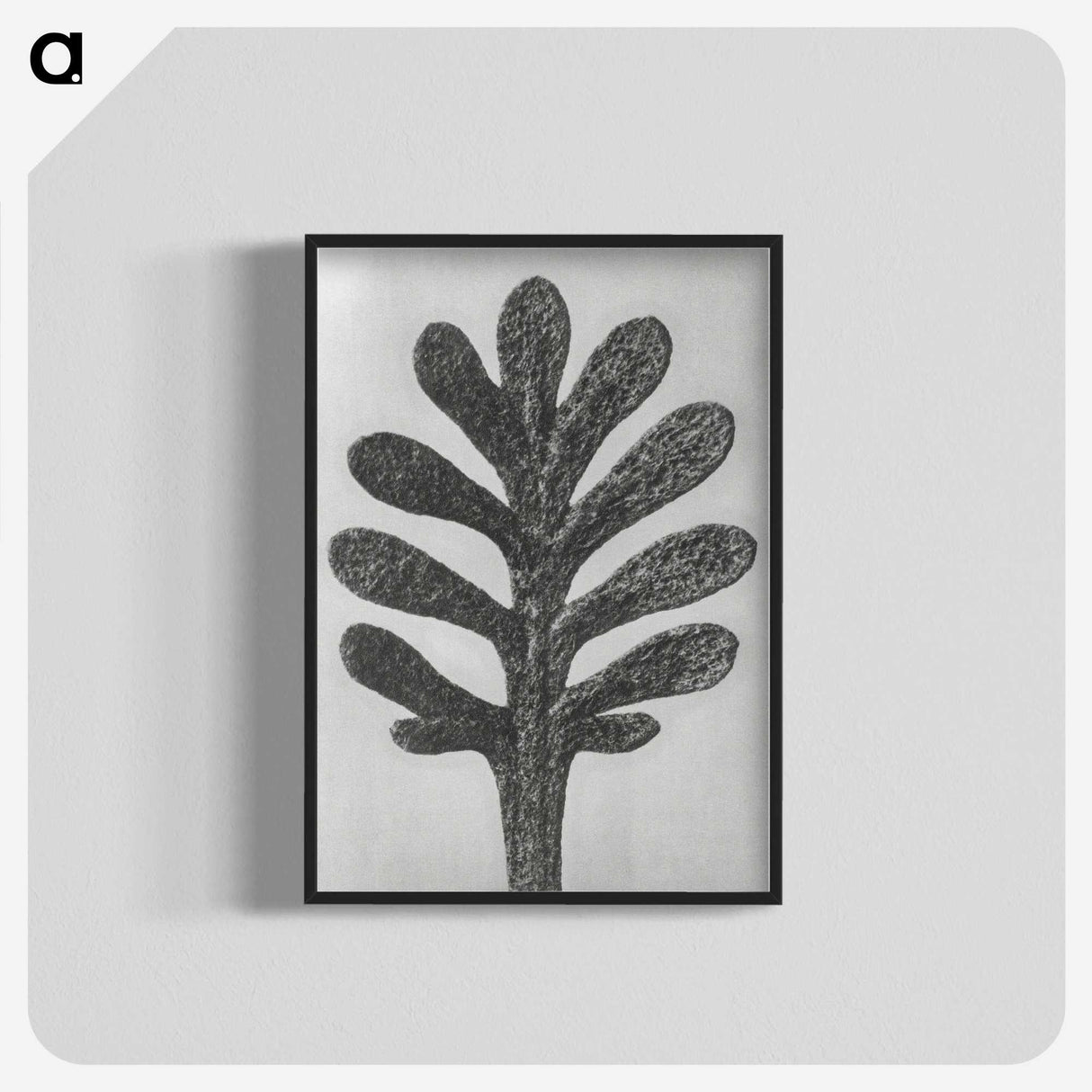 1-18_Karl-Blossfeldt_blk-crop