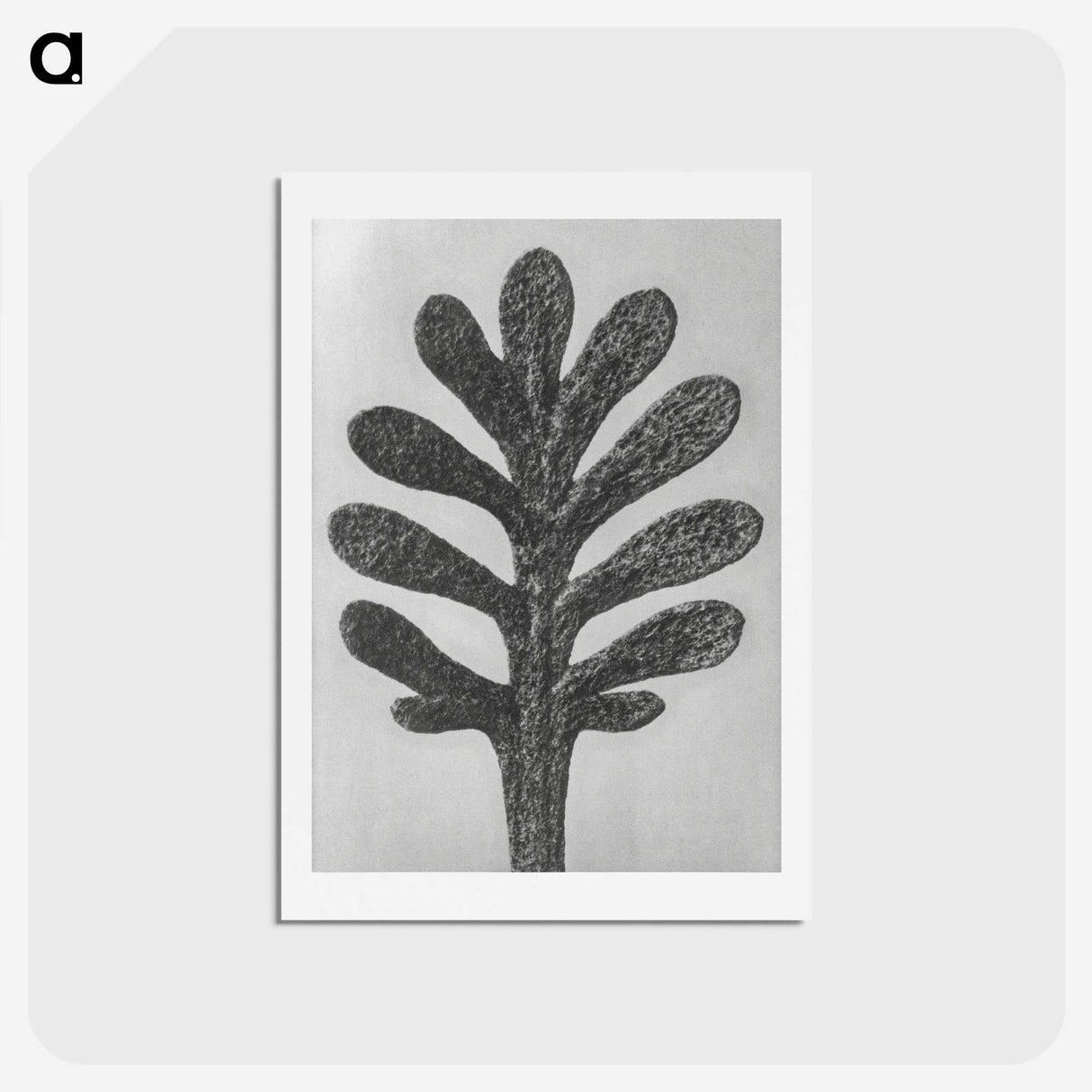 1-18_Karl-Blossfeldt_hagaki