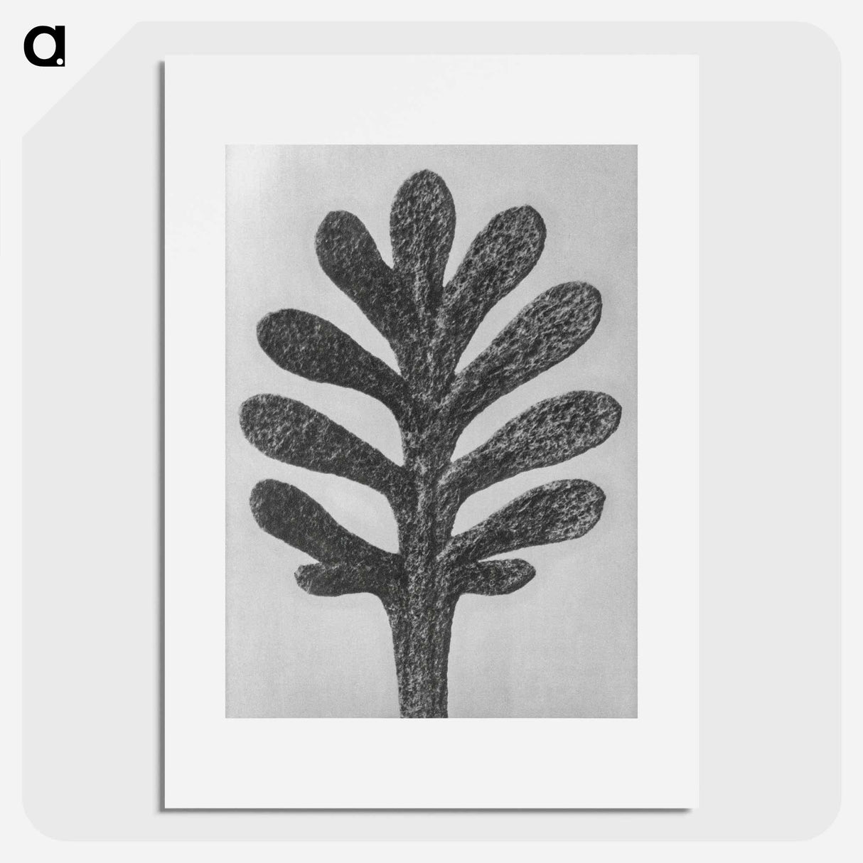 アートポスター-Achillea Umbellata (Yarrow) leaf enlarged 30 times - カール ブロスフェルト Poster.