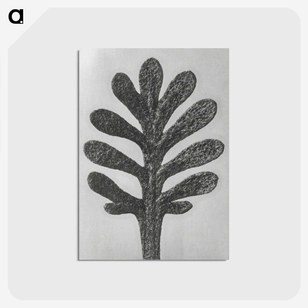 1-18_Karl-Blossfeldt_postcard