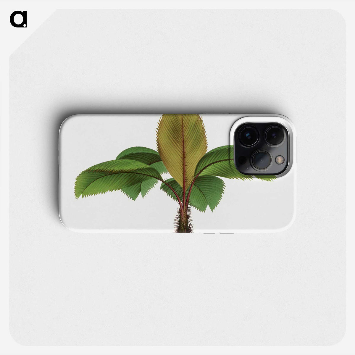 1-18_Les-Palmiers-Histoire-Iconographique_phone