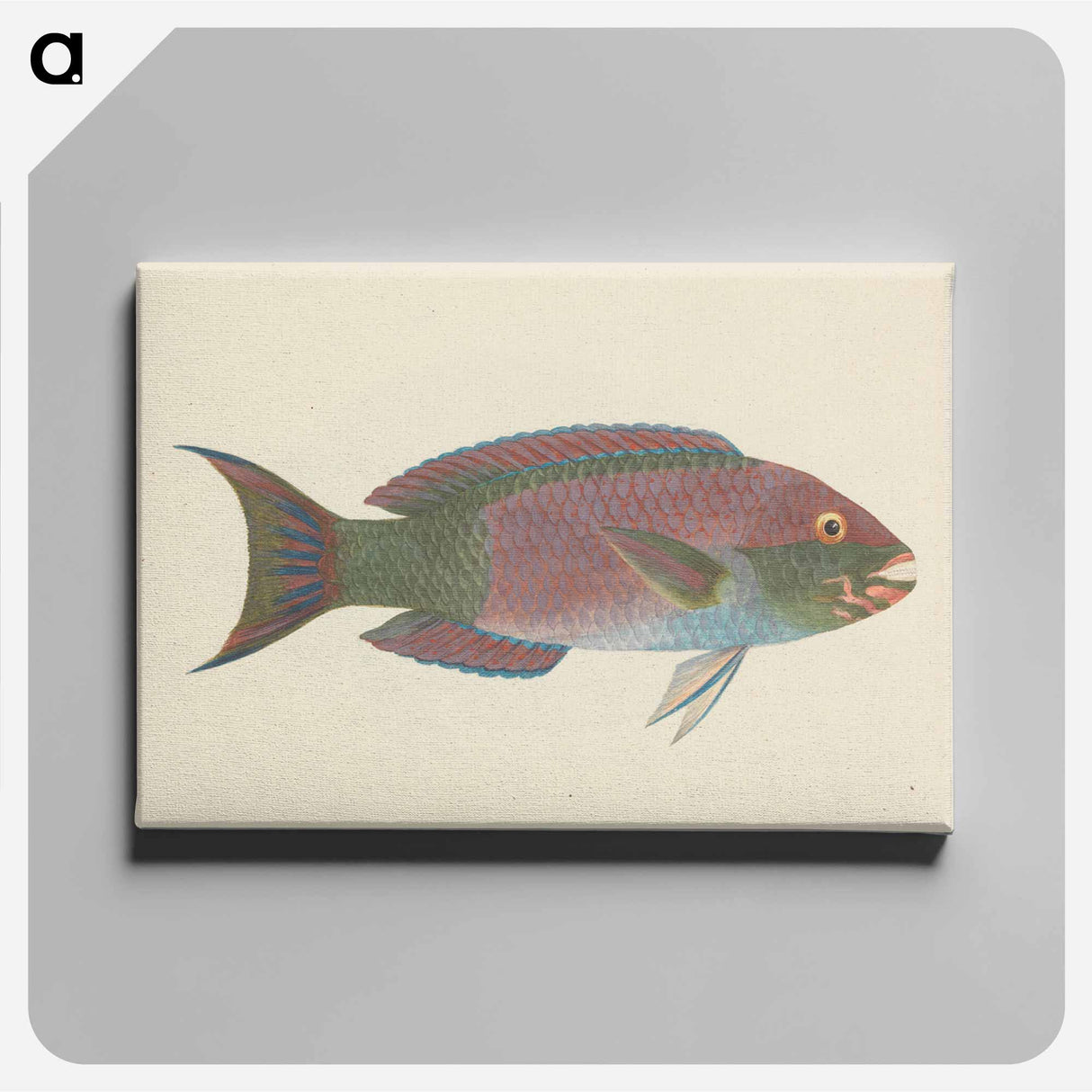 アートパネル-Unidentified Fish
- ルイージ バルガーニ Canvas.