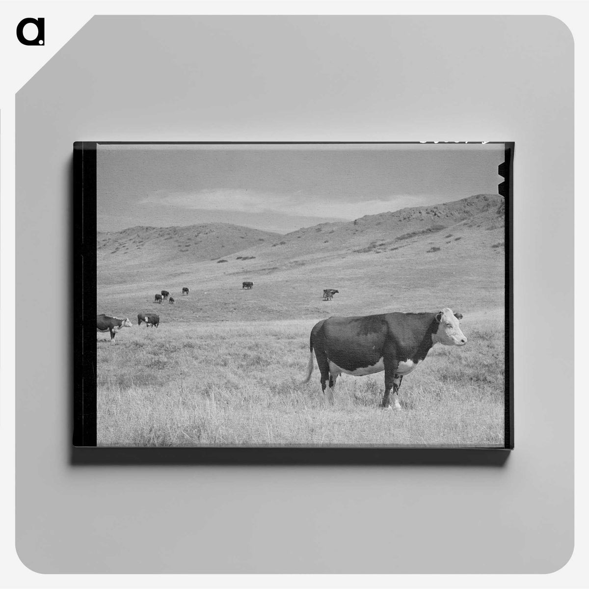 1-18_Marion-Post-Wolcott_canvas