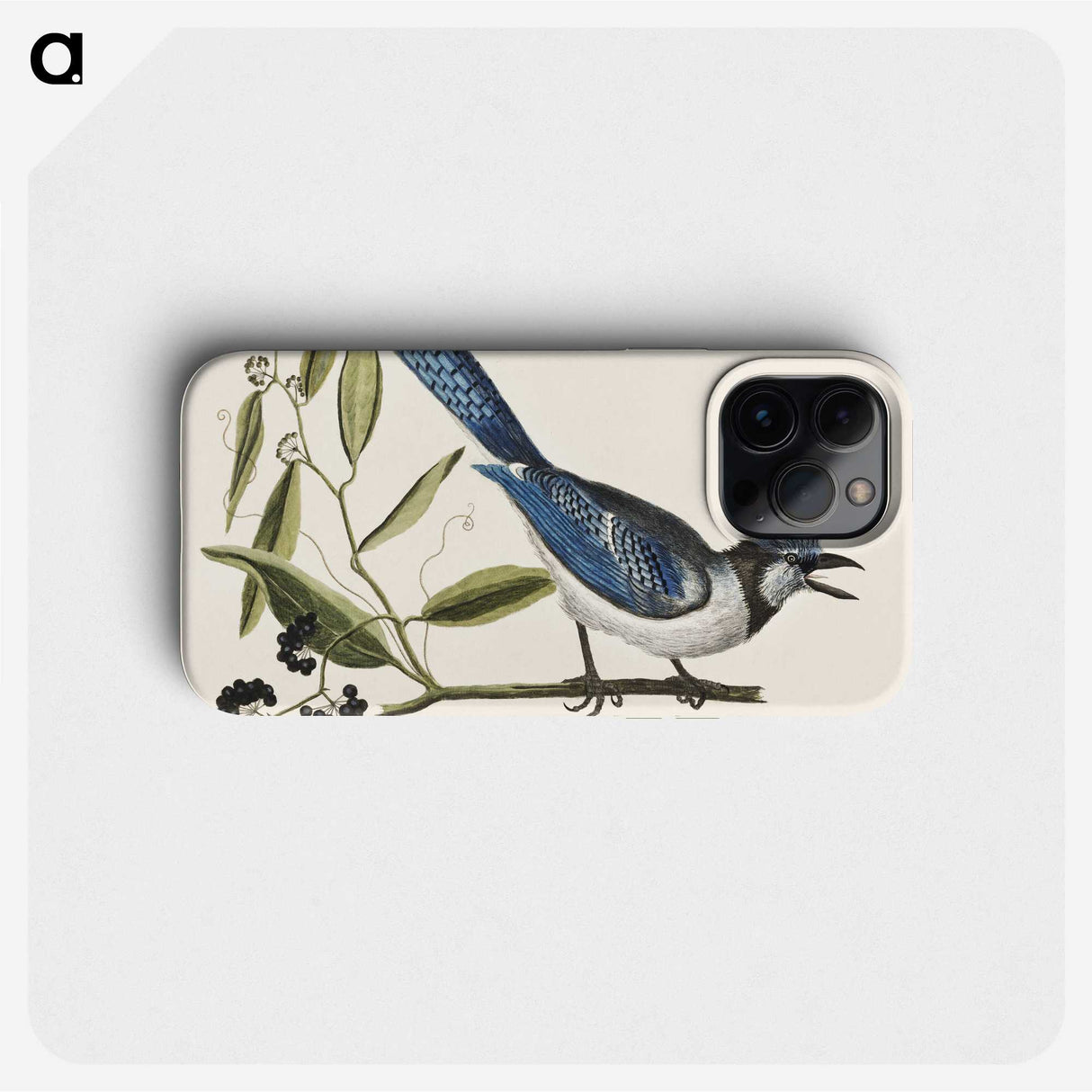 1-18_Mark-Catesby_phone