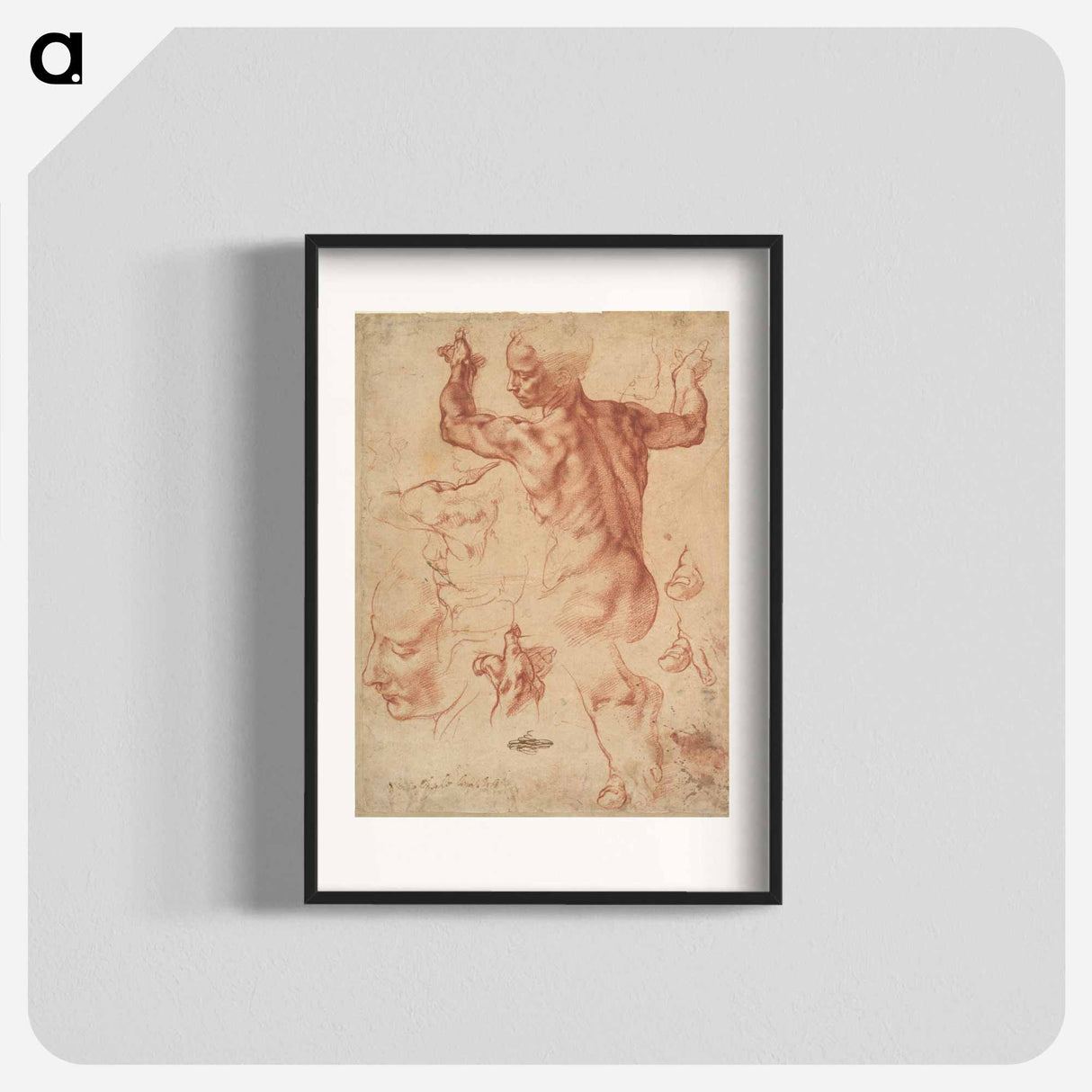 Studies for the Libyan Sibyl (recto); Studies for the Libyan Sibyl and a small Sketch for a Seated Figure (verso) - ミケランジェロ ブオナローティ Poster.