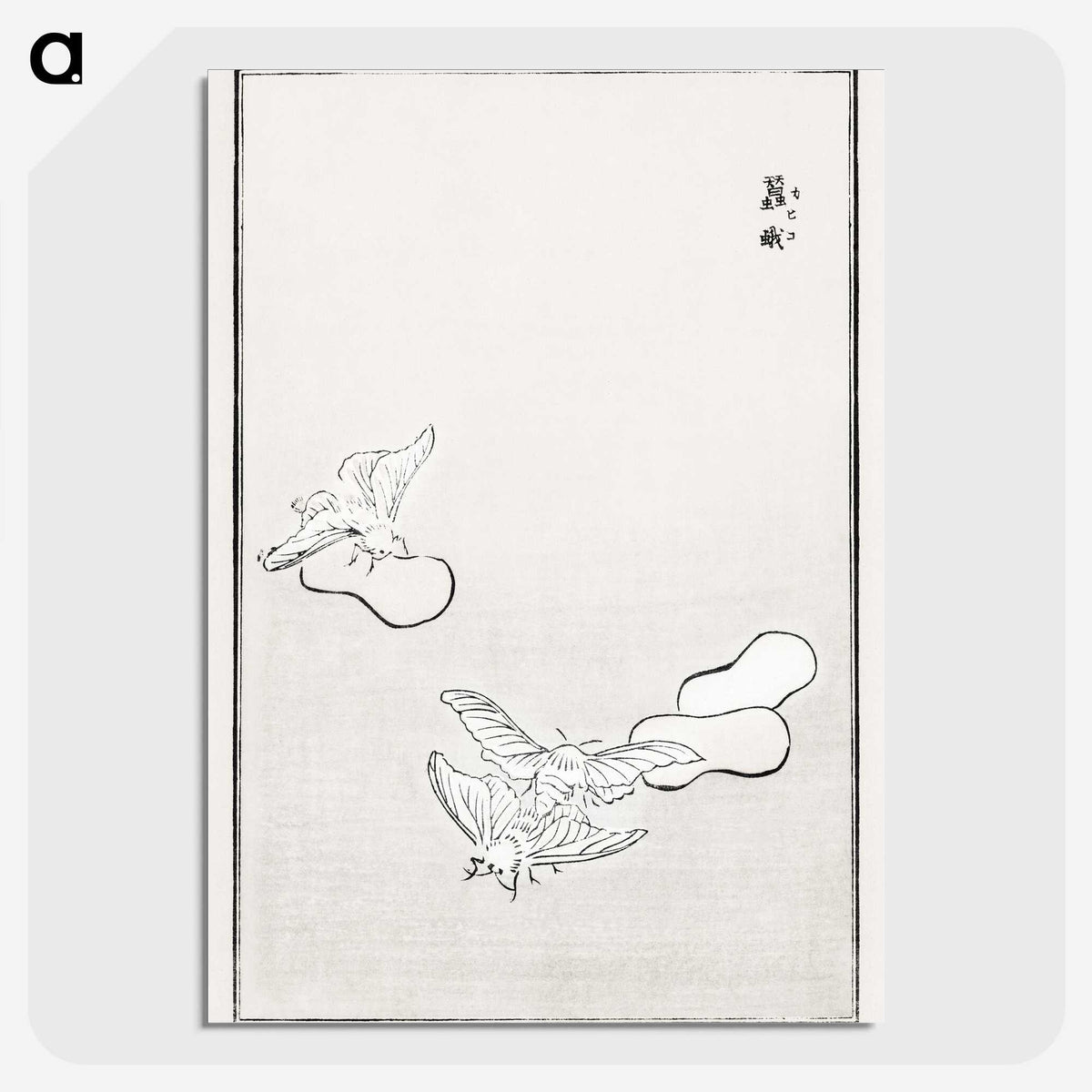 1-18_Morimoto-Tokaku_picture-crop