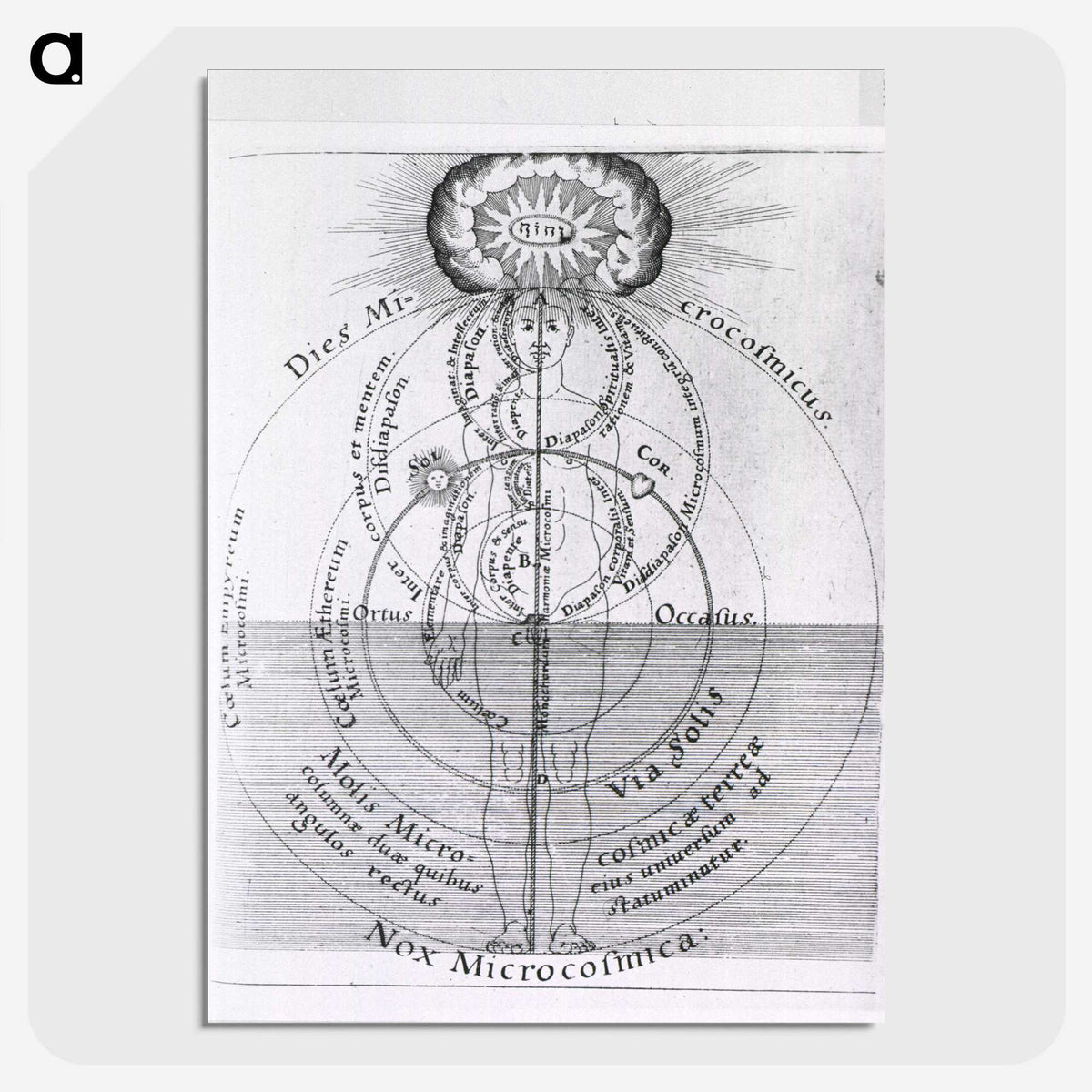 1-18_National-Library-of-Medicine_picture-crop