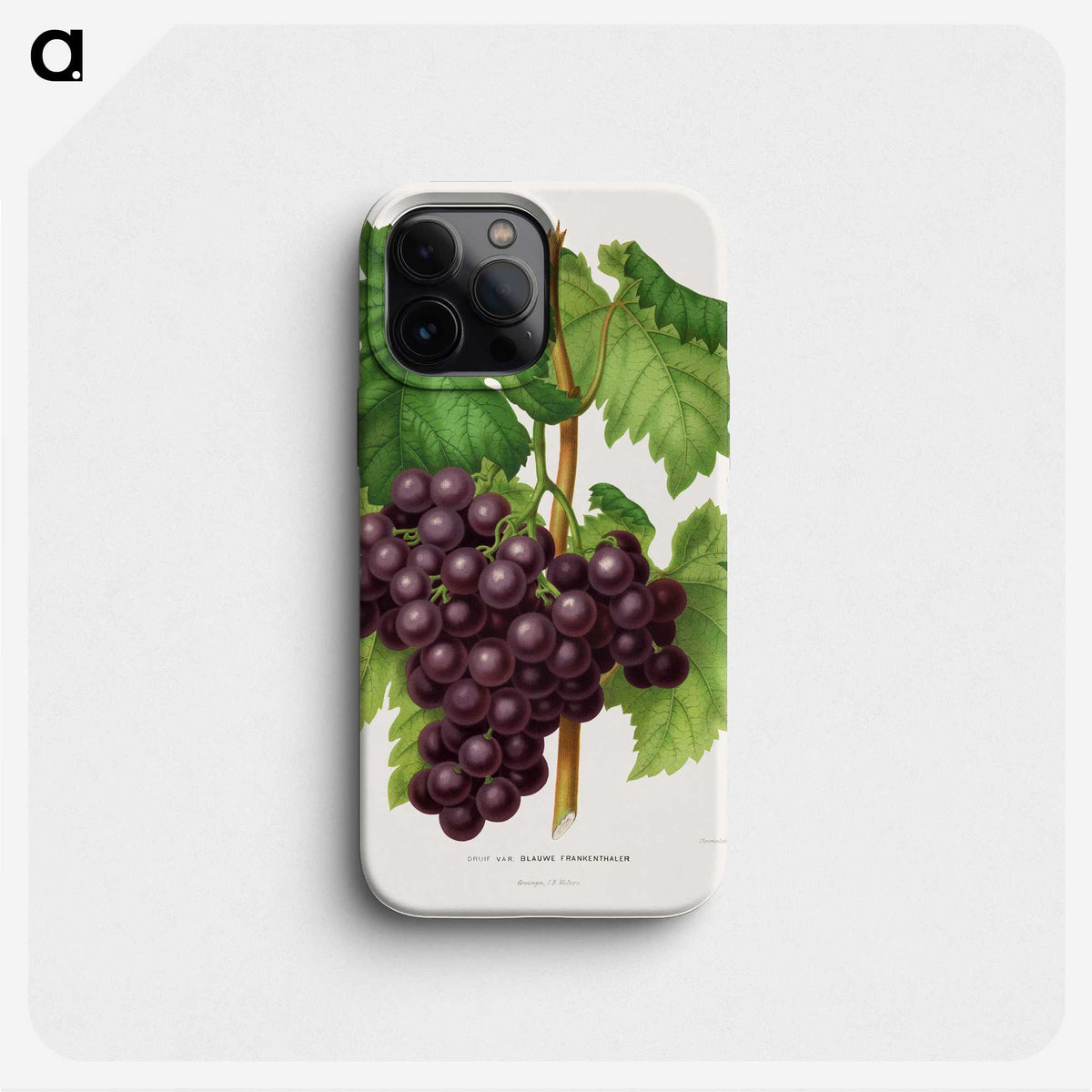 1-18_Nederlandsche-Flora-en-Pomona_phone