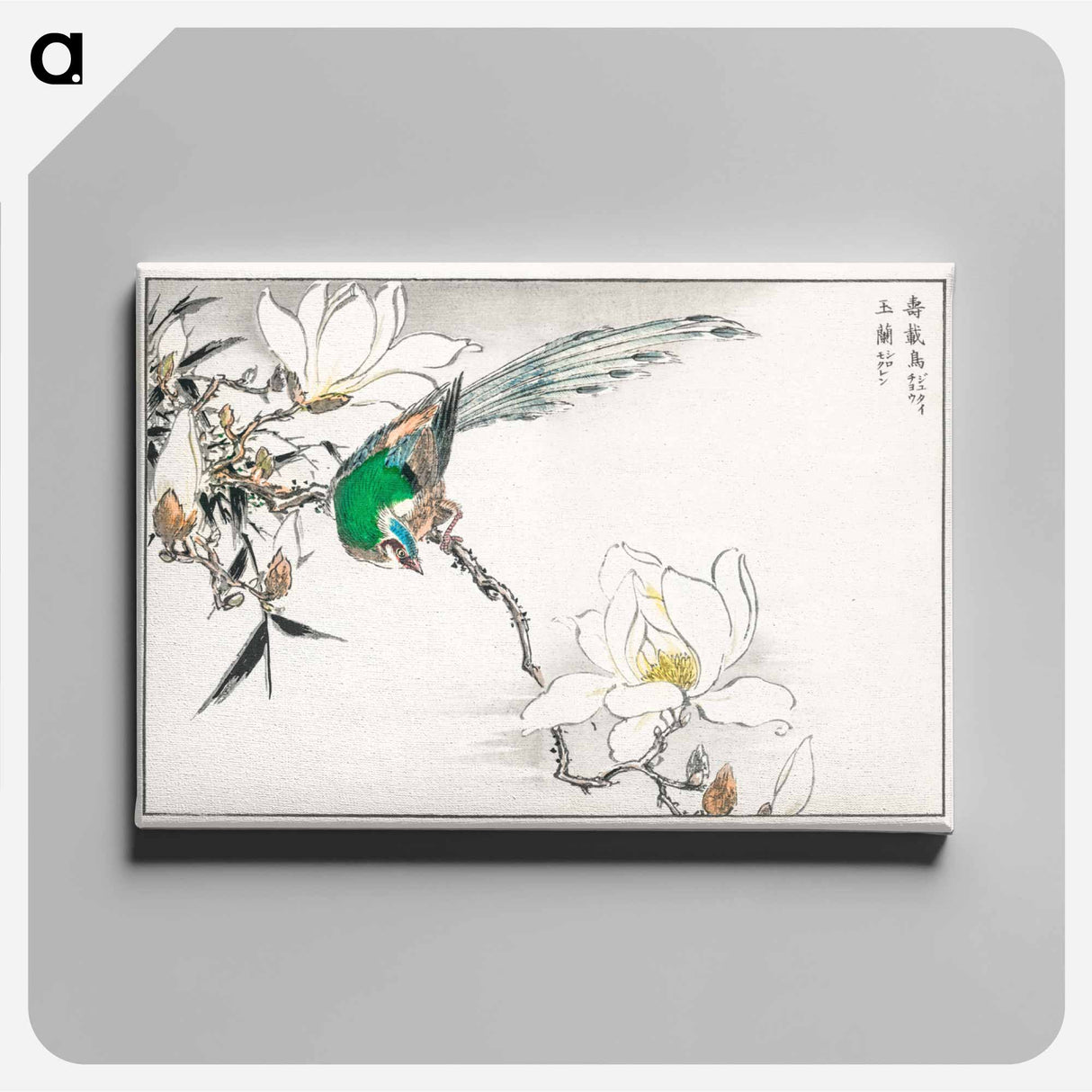 アートパネル-Chinese Tree Pipit and Magnolia
- 鳥類図鑑 Canvas.