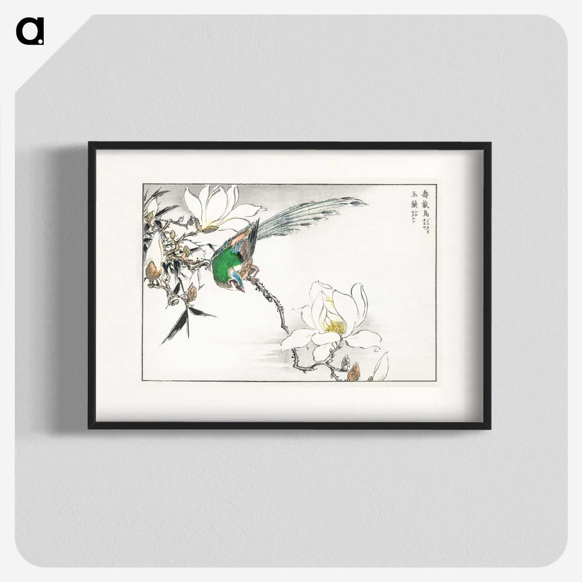 1-18_Pictorial-Monograph-of-Birds_blk