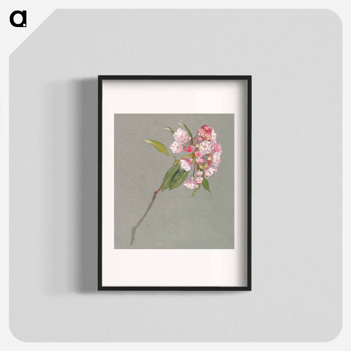 アートポスター-A Bough of Mountain Laurel with Leaves and Blossoms - サミュエル コールマン Poster.