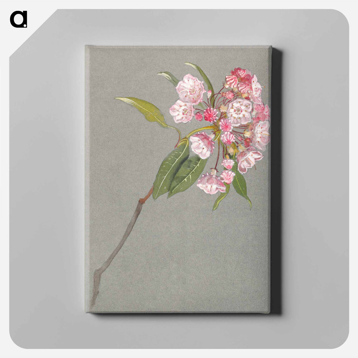 アートパネル-A Bough of Mountain Laurel with Leaves and Blossoms - サミュエル コールマン Canvas.