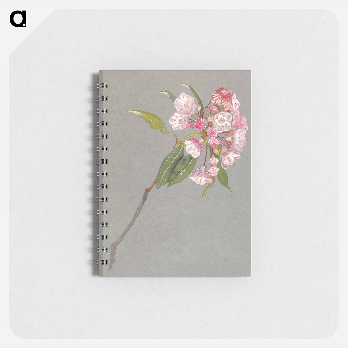 アートメモ帳-A Bough of Mountain Laurel with Leaves and Blossoms - サミュエル コールマン Memo.