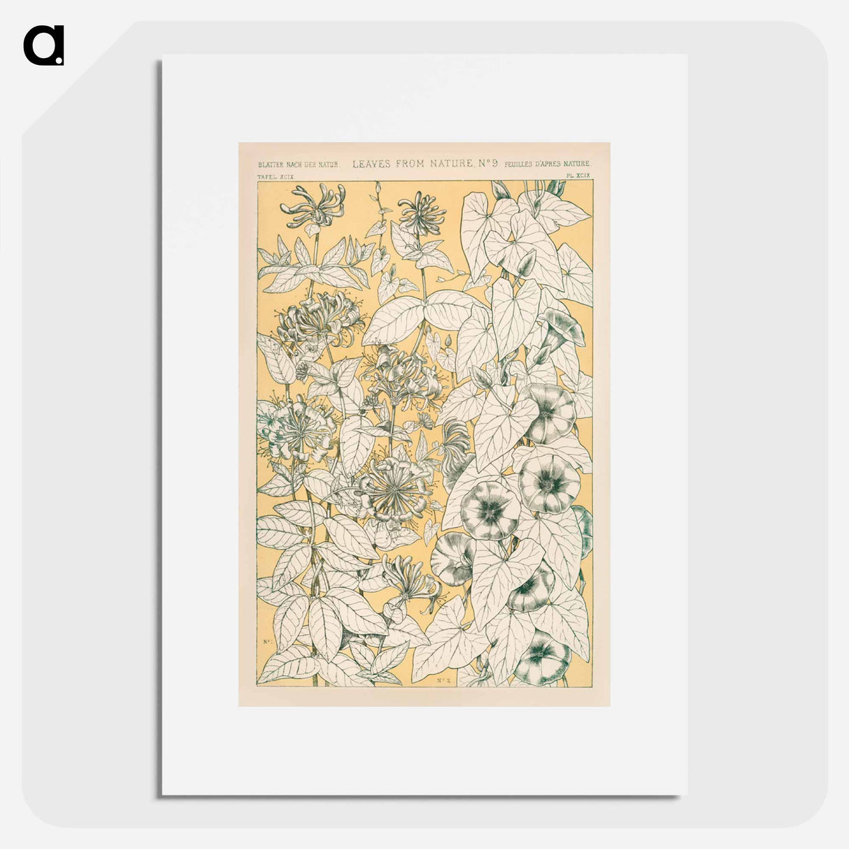 アートポスター-Grammar of Ornament Illustration
- 装飾の文法 Poster.