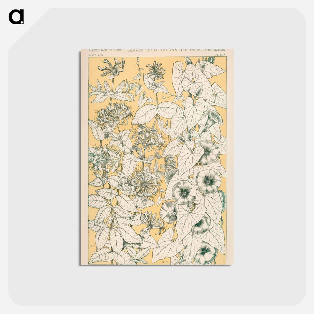アートポストカード-Grammar of Ornament Illustration
- 装飾の文法 Postcard.