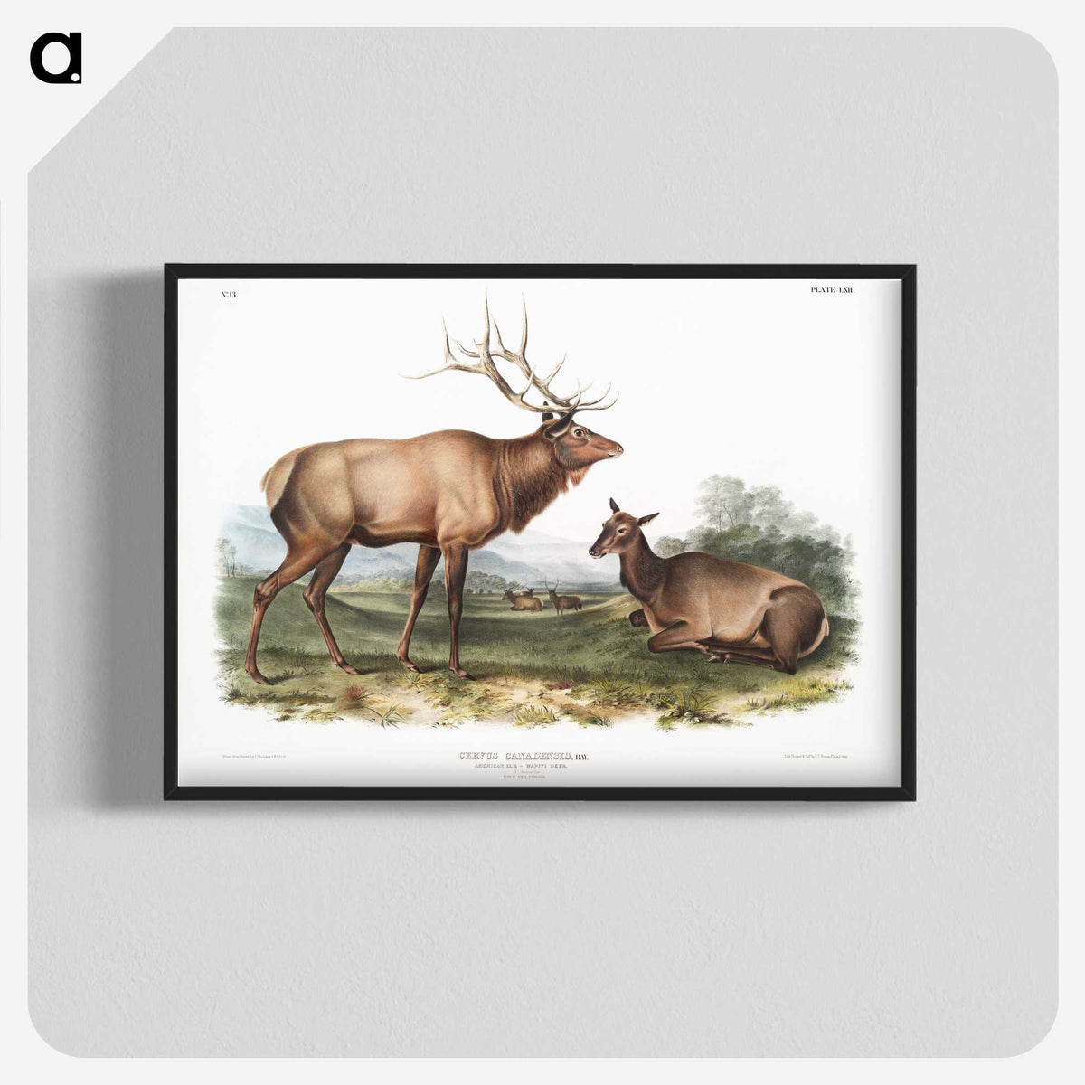 1-18_The-Viviparous-Quadrupeds_blk-crop
