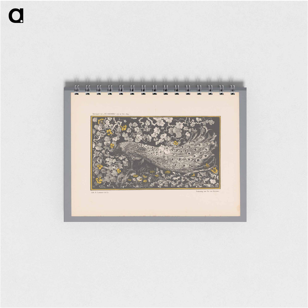 Pauw - テオ ヴァン ホイテマ Memo.