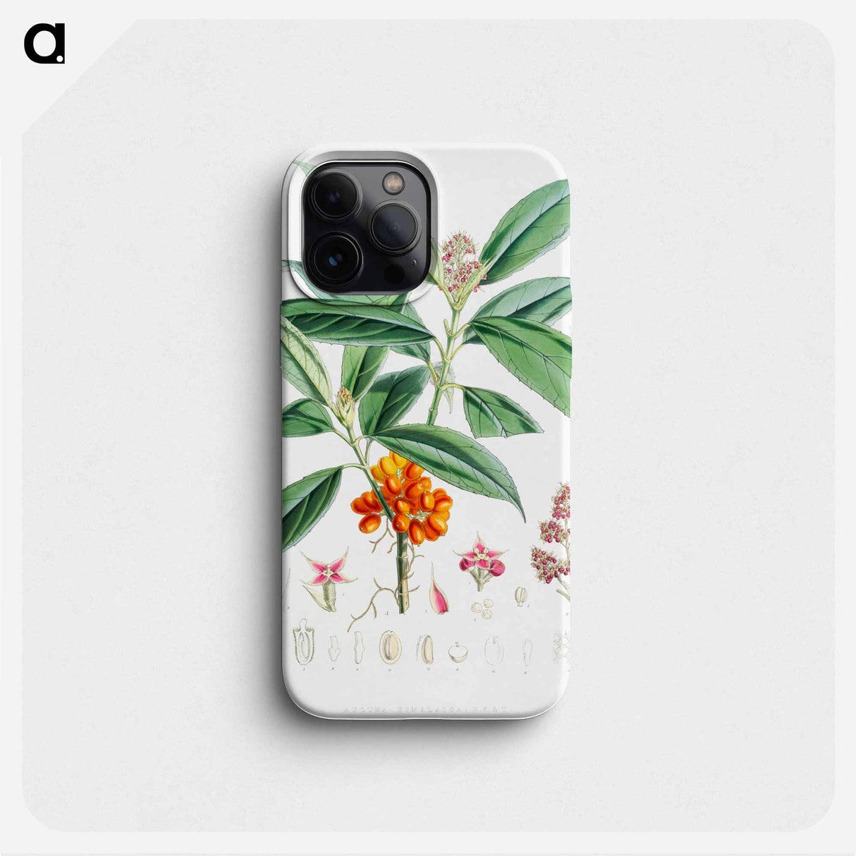 Aucuba Himalaica - Walter Hood Fitch Phone Case.