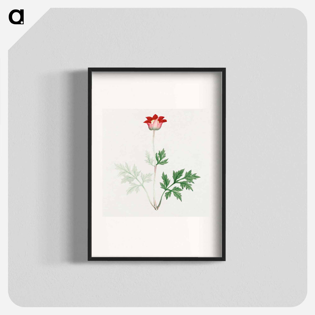 Hokeso – March - 19世紀の日本の花 Poster.