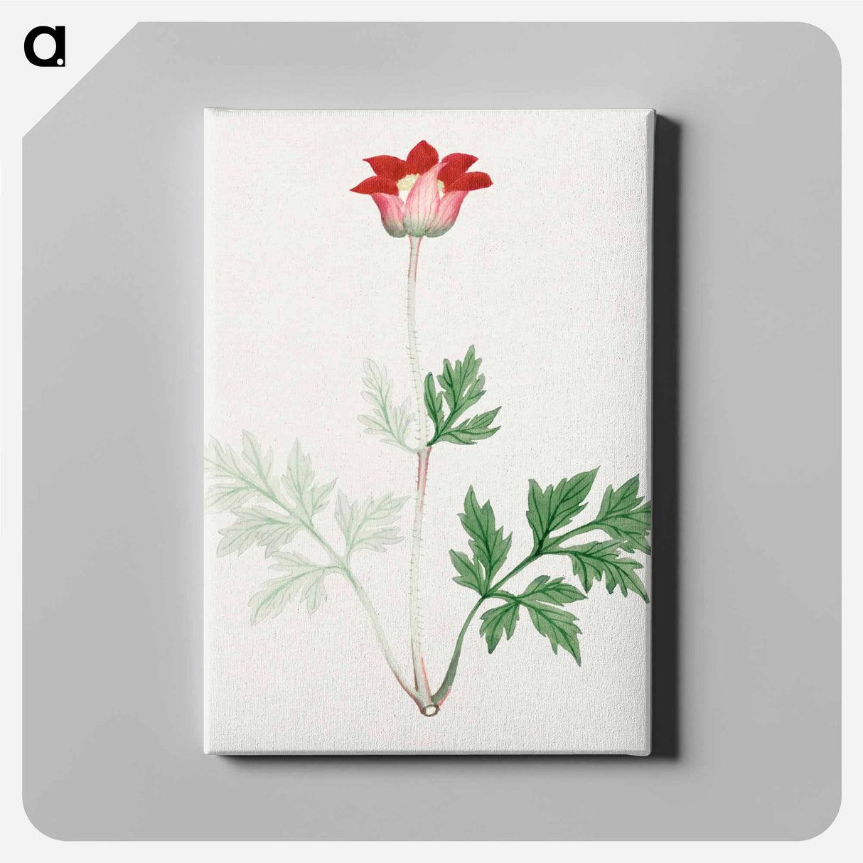 Hokeso – March - 19世紀の日本の花 Canvas.