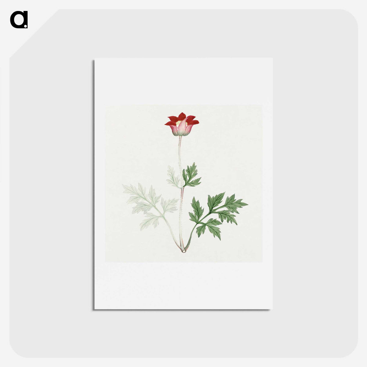 1-19_19th-Century-Japanese-Flowers_hagaki