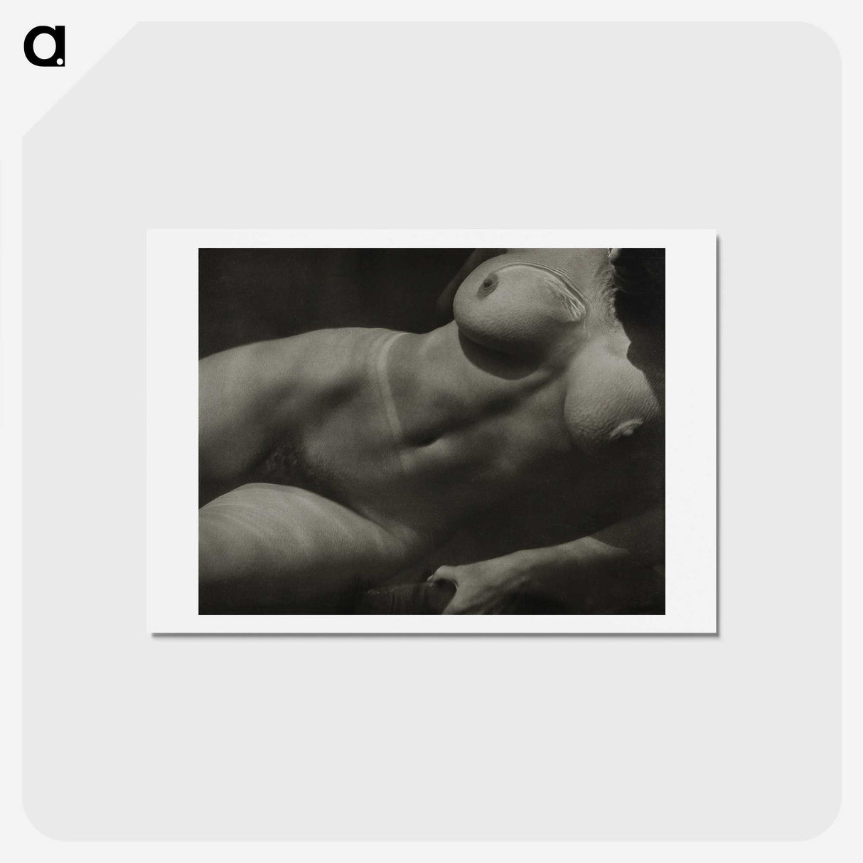 1-19_Alfred-Stieglitz_hagaki