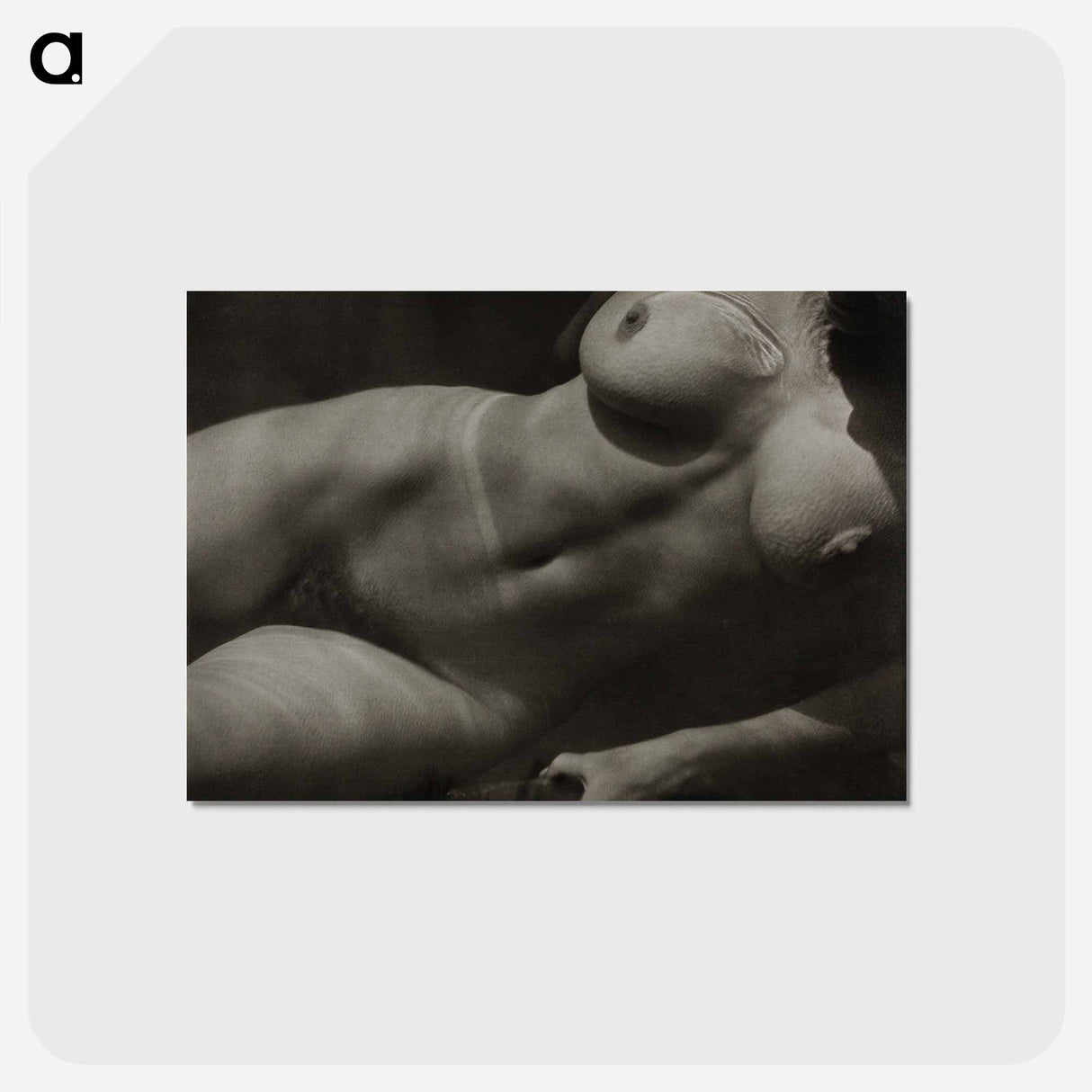アートポストカード-Rebecca Salsbury Strand - アルフレッド スティーグリッツ Postcard.
