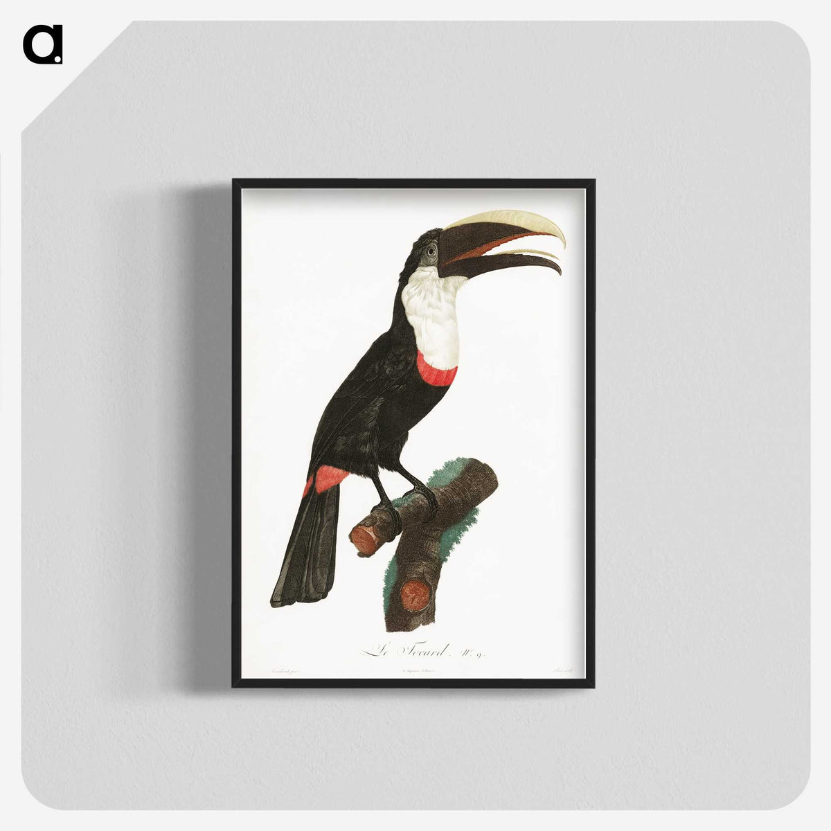 1-19_Des-Oiseaux-de-Paradis_blk-crop