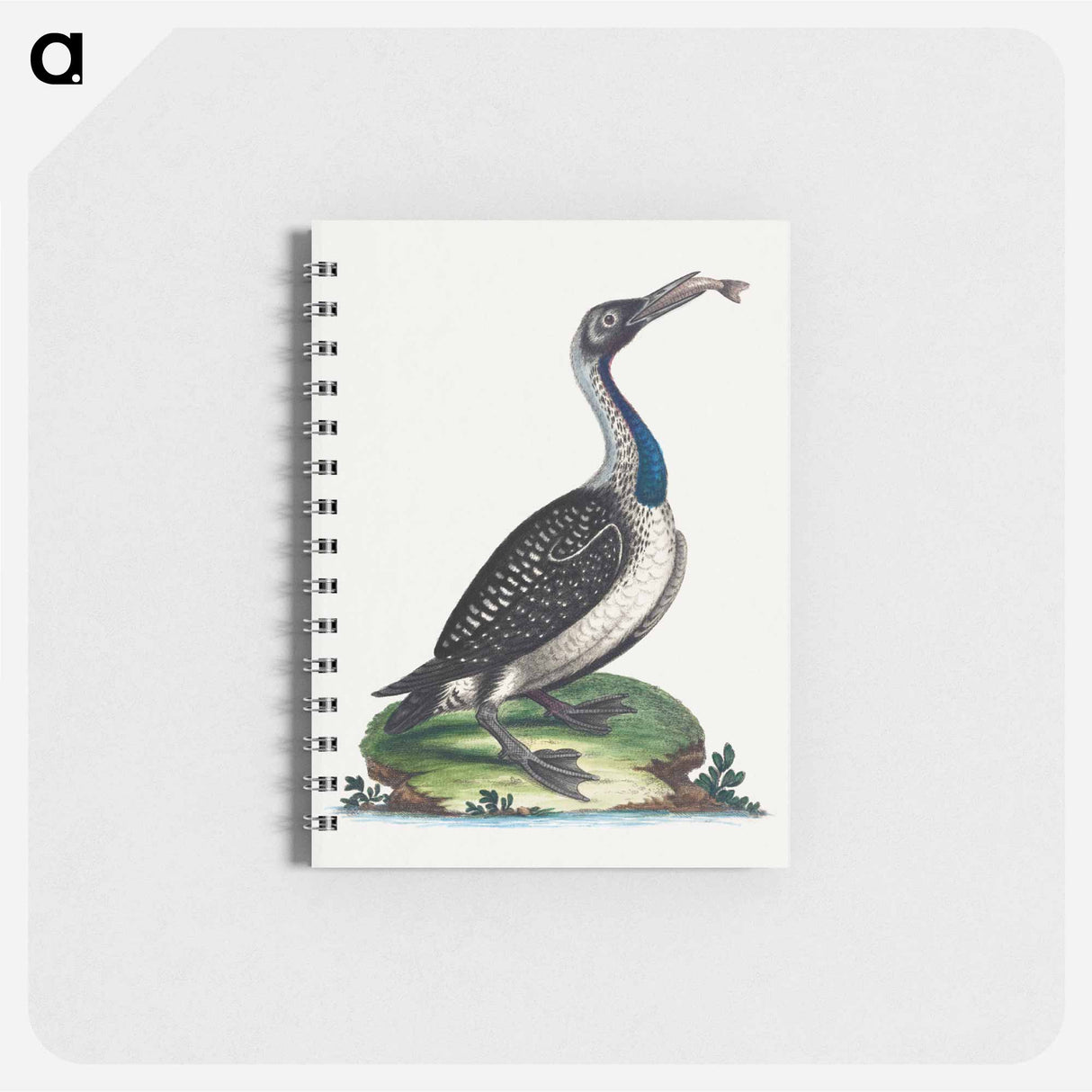 アートメモ帳-Black and White Water-Fowl with Blue Throat
- ジョージ エドワーズ Memo.