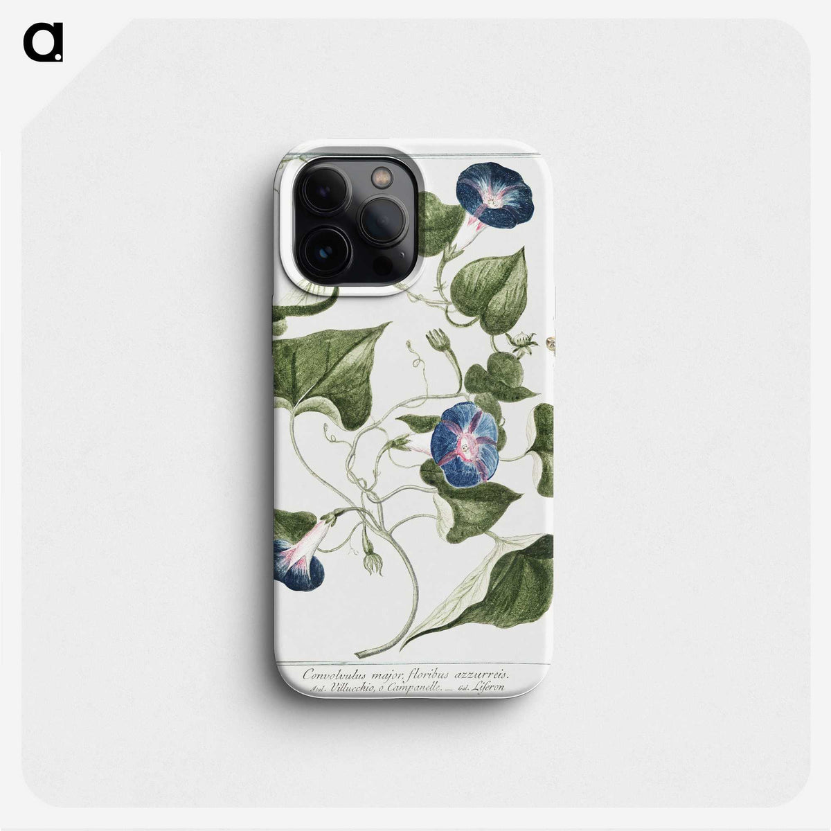 1-19_Hortus-Romanus-Botanical-Plates_phone
