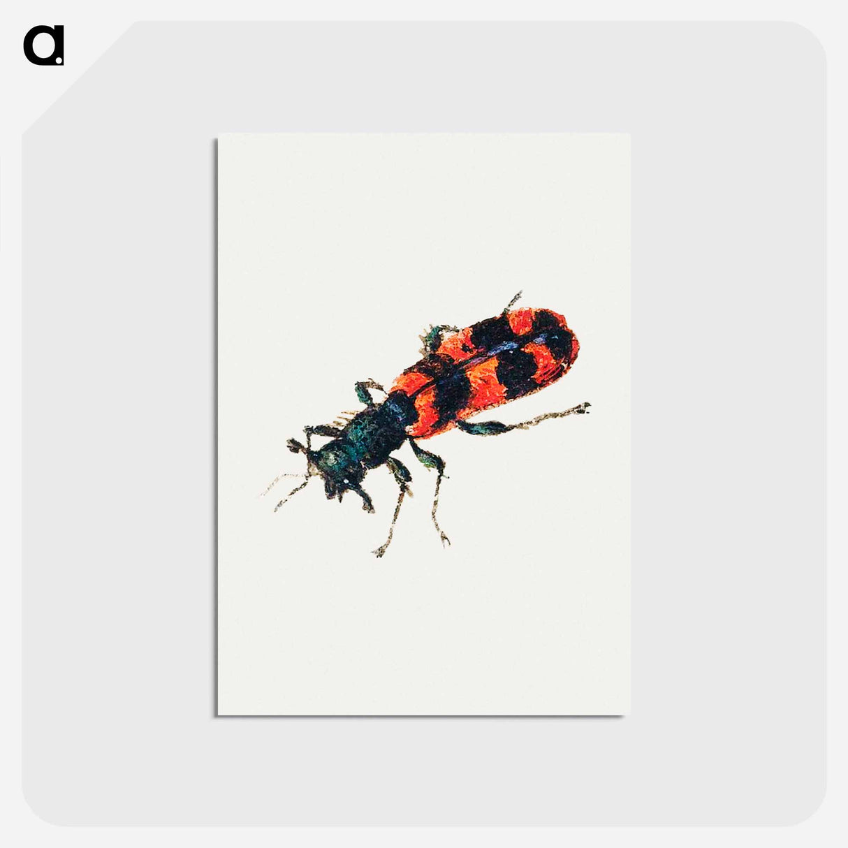 アートポストカード-Insect from Sheet of Studies of Nine Insects
- ヤン ファン ケッセル Postcard.