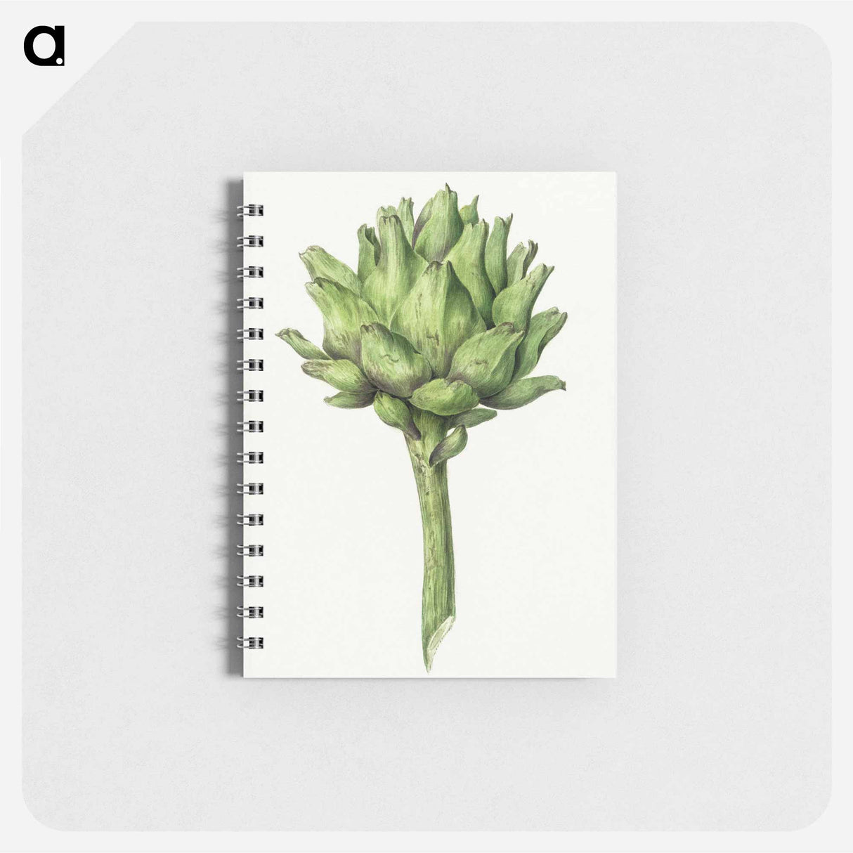 Artichoke - ジャン ベルナール Memo.