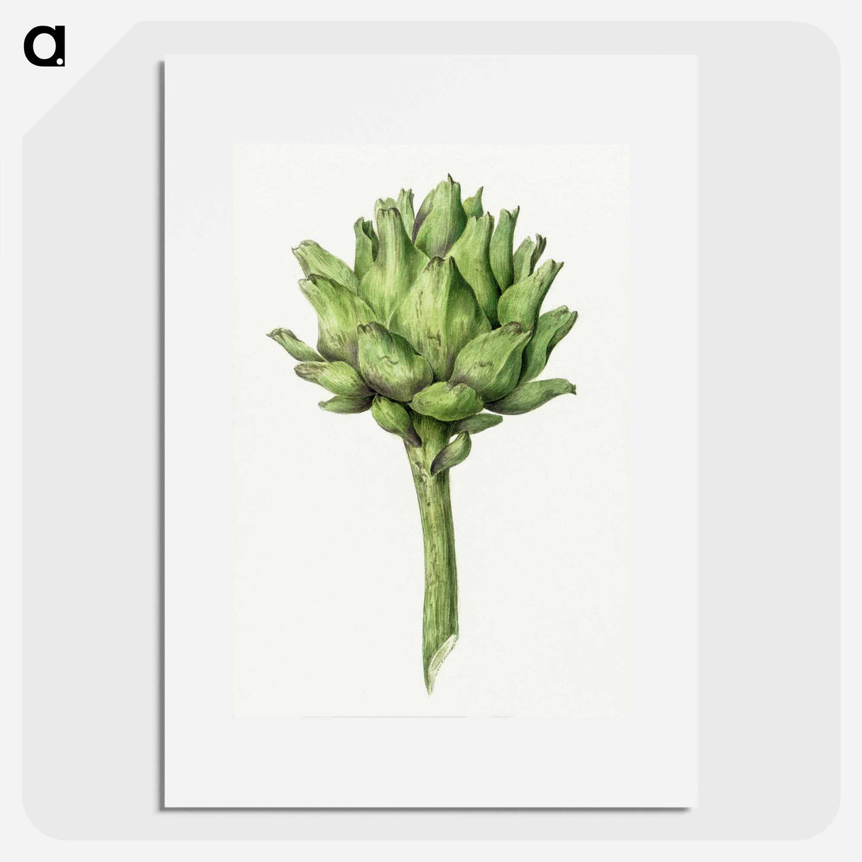 アートポスター-Artichoke - ジャン ベルナール Poster.