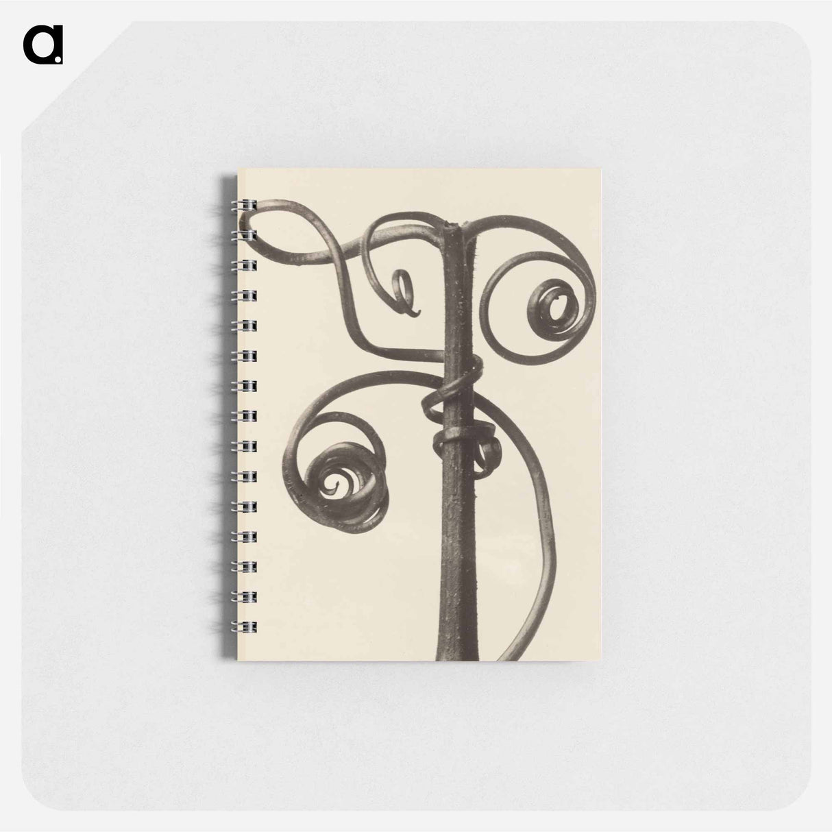 Cucurbita - カール ブロスフェルト Memo.