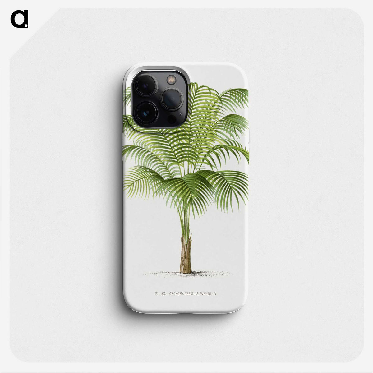 1-19_Les-Palmiers-Histoire-Iconographique_phone