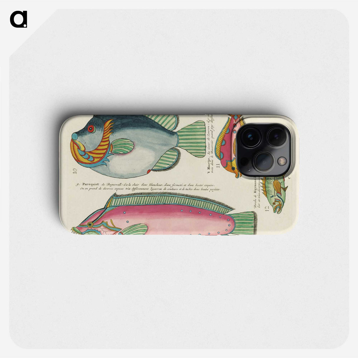 1-19_Louis-Renard_phone