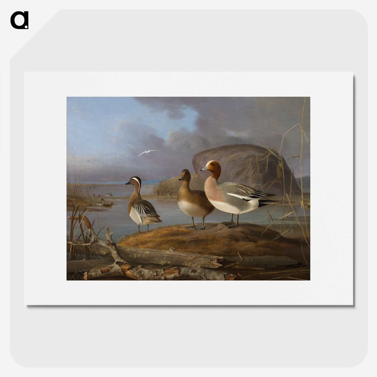 1-19_Magnus-von-Wright_picture