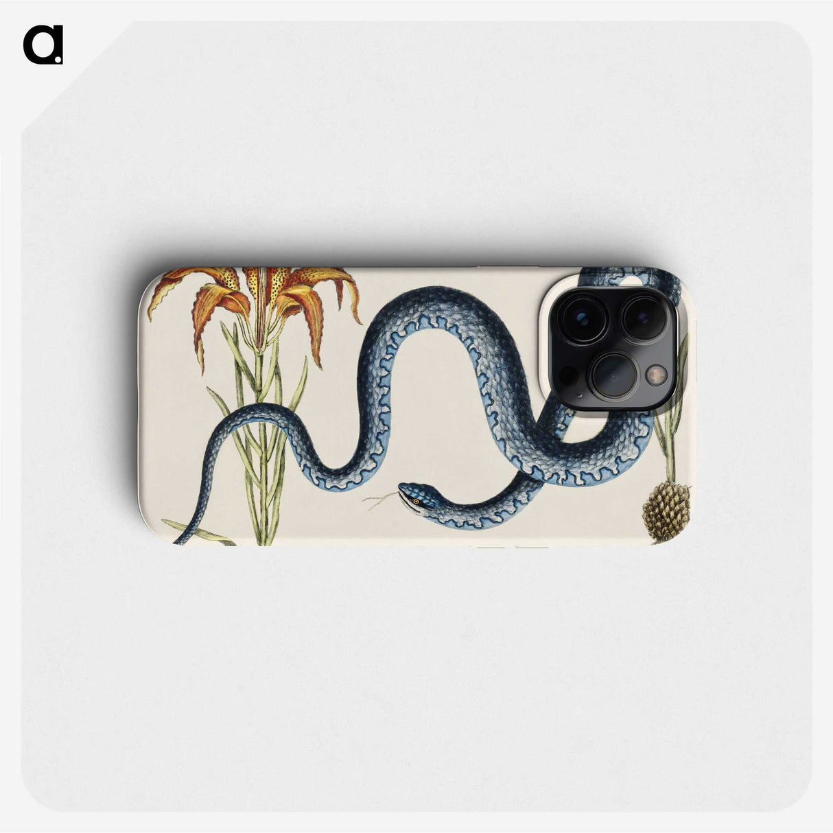 1-19_Mark-Catesby_phone