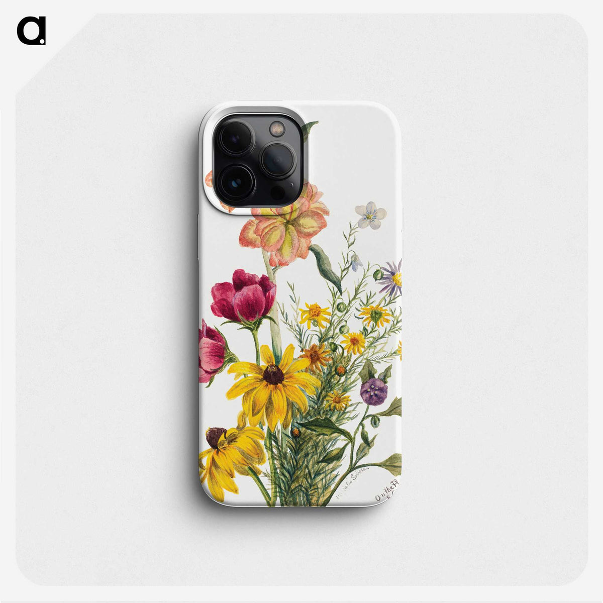 1-19_Mary-Vaux-Walcott_phone
